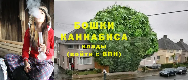 где найти наркотики  Андреаполь  Марихуана SATIVA & INDICA 